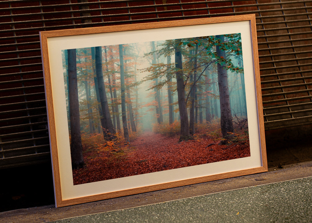 Spaziergang im Nebelwald