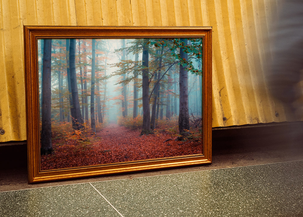 Spaziergang im Nebelwald