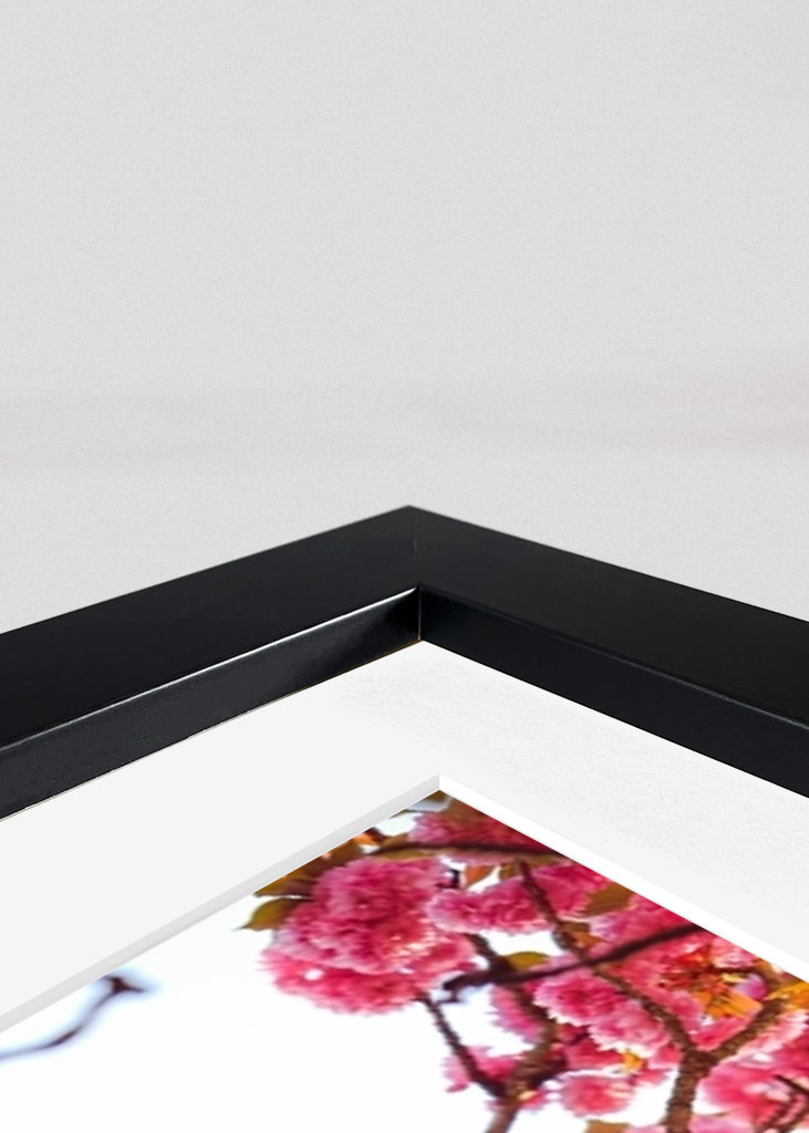 Fleurs de cerisier 3 