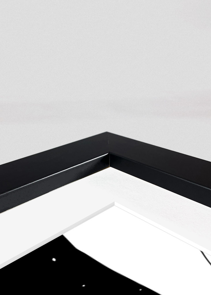 Neon Genesis Evangelion