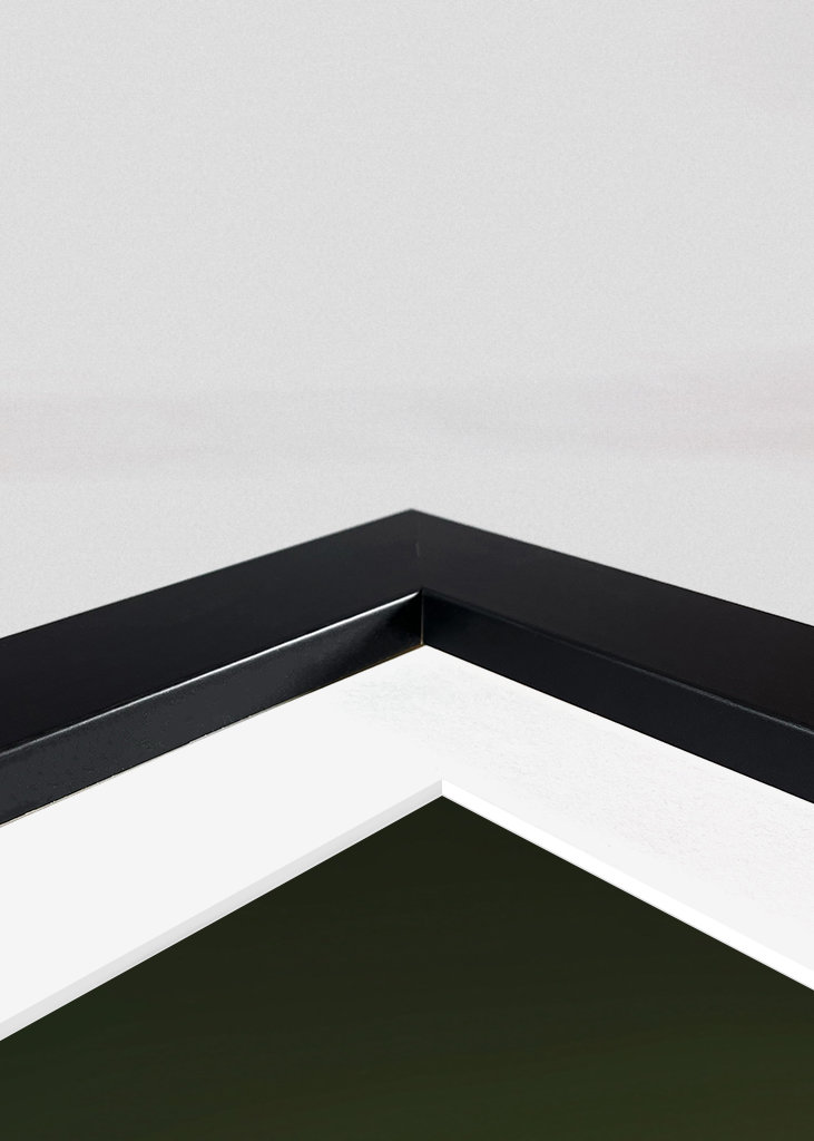 Kolibri Fotografisch