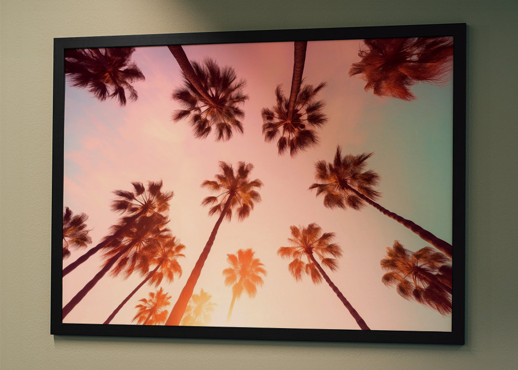 Beverly Hills Sunset Palms