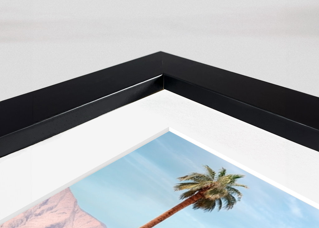 Palm Springs Zwembad Dag