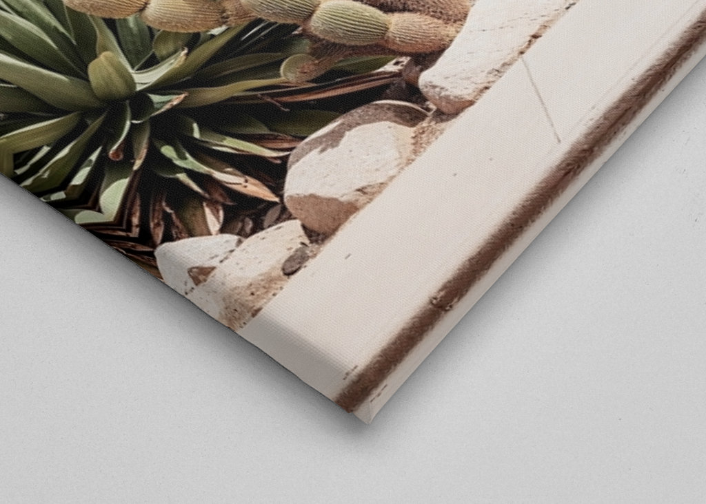 White Mid-Century Modern House