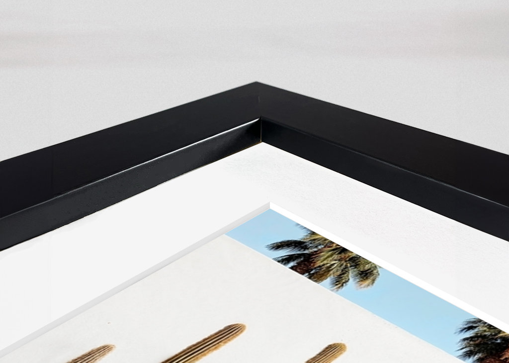 White Mid-Century Modern House