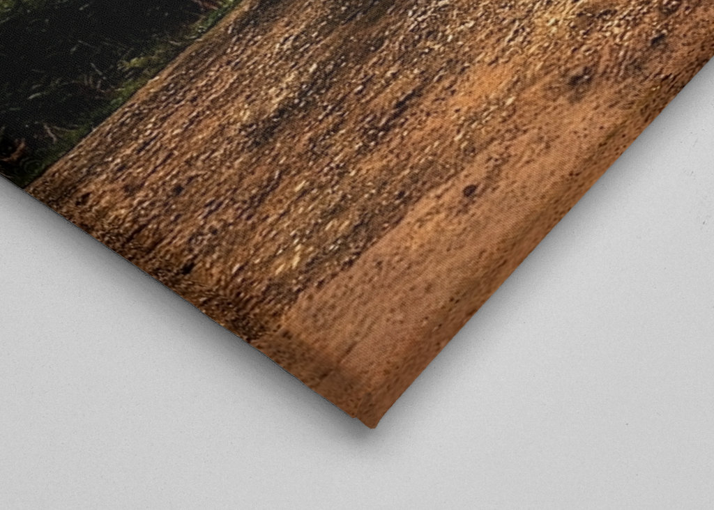 Ciężarówka Peterbilt 