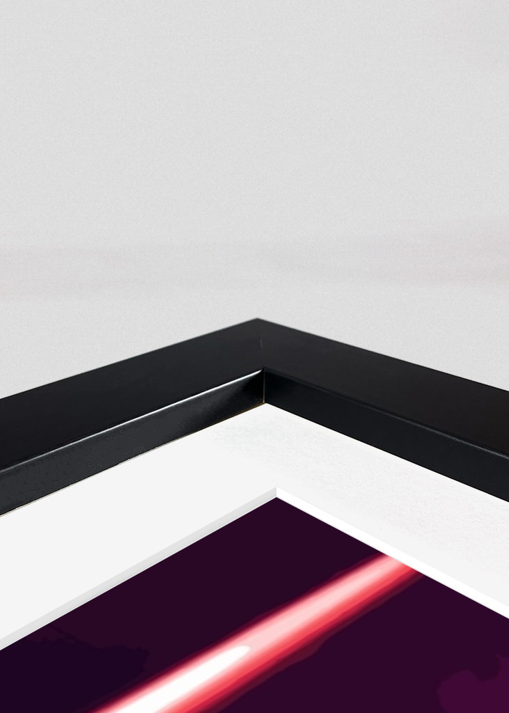 Neon Genesis Evangelion