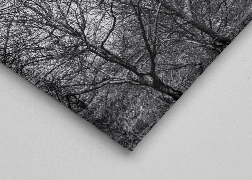 Prenzlauer Berg water tower