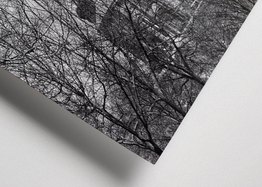 Prenzlauer Berg water tower