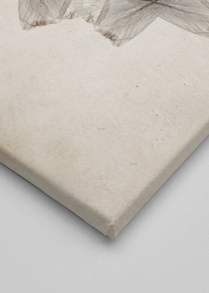 Flower petals mandala