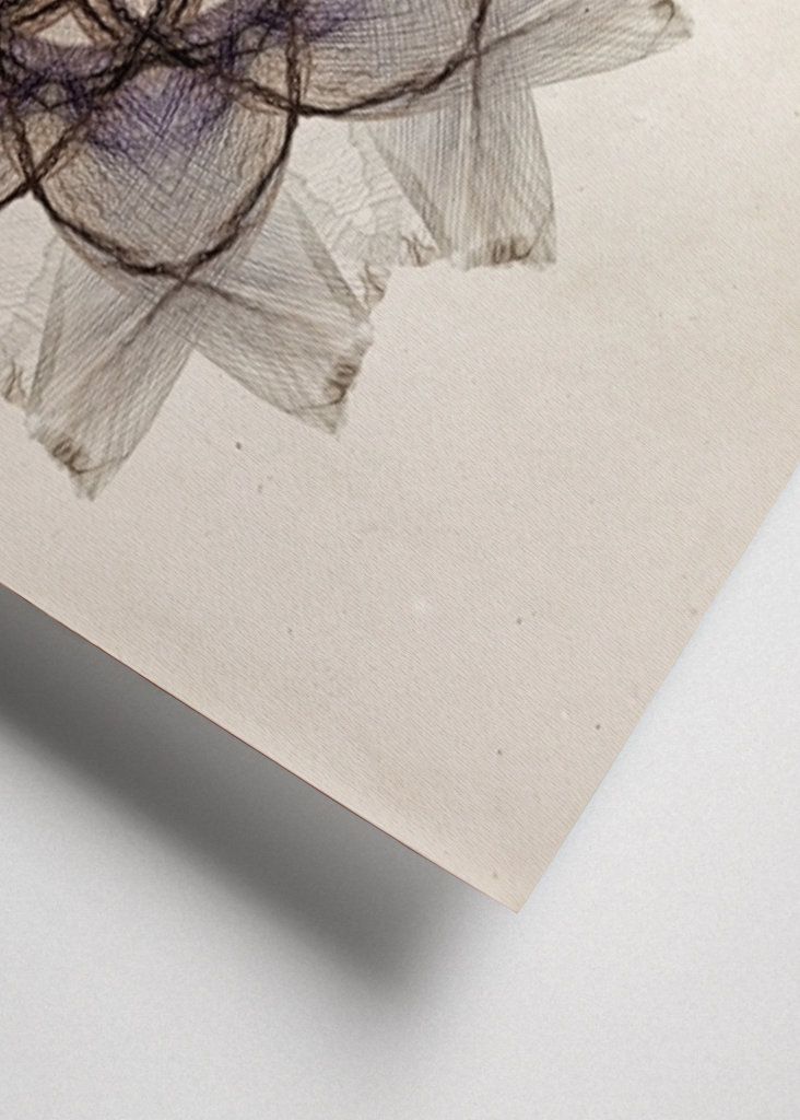 Flower petals mandala