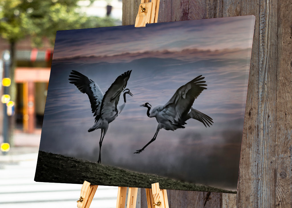 Dva tančící jeřábi.