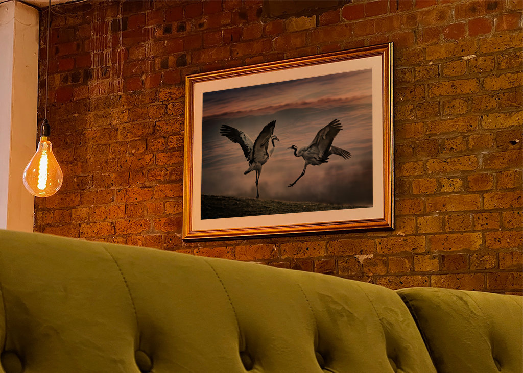 Dva tančící jeřábi.