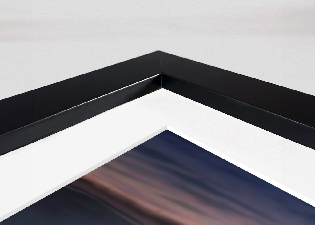 Dva tančící jeřábi.