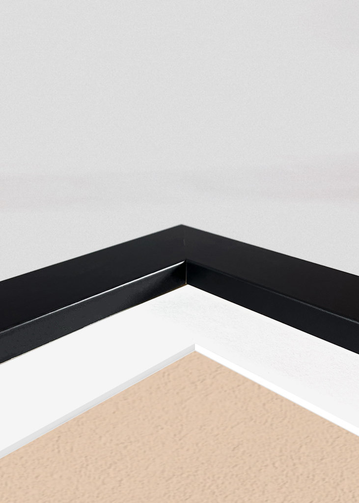 Cat on girl's shoulder