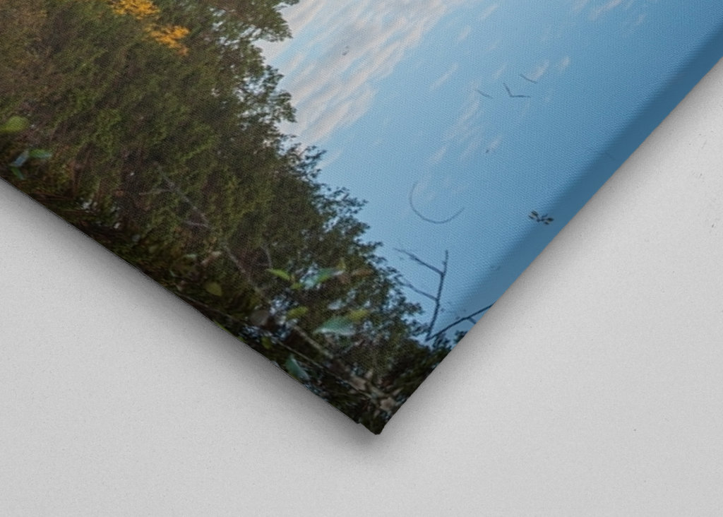 Herbstwald spiegelt sich im Wasser.