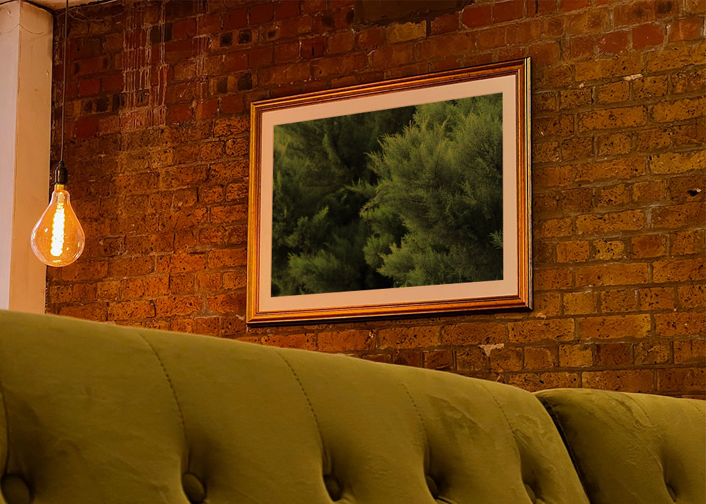 Chamäleon-Tarnung in Kiefern