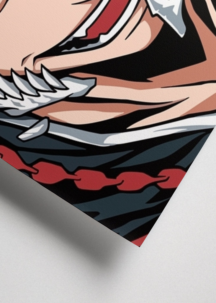 Bleach Ichigo Kurosaki