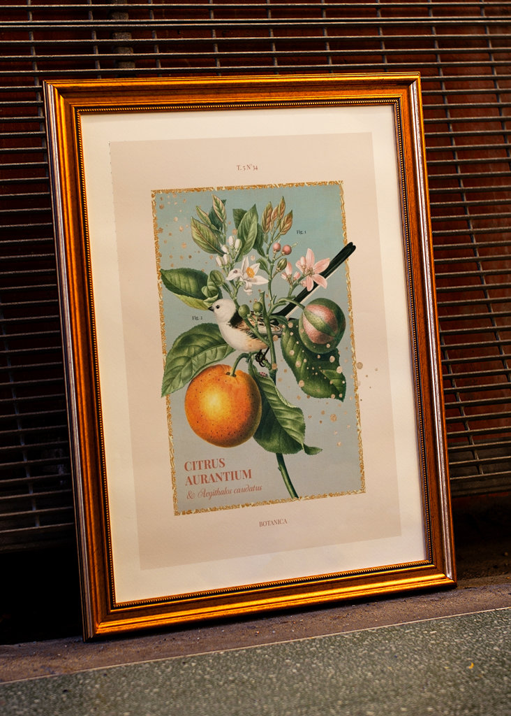 Botanica – Bitter Orange 