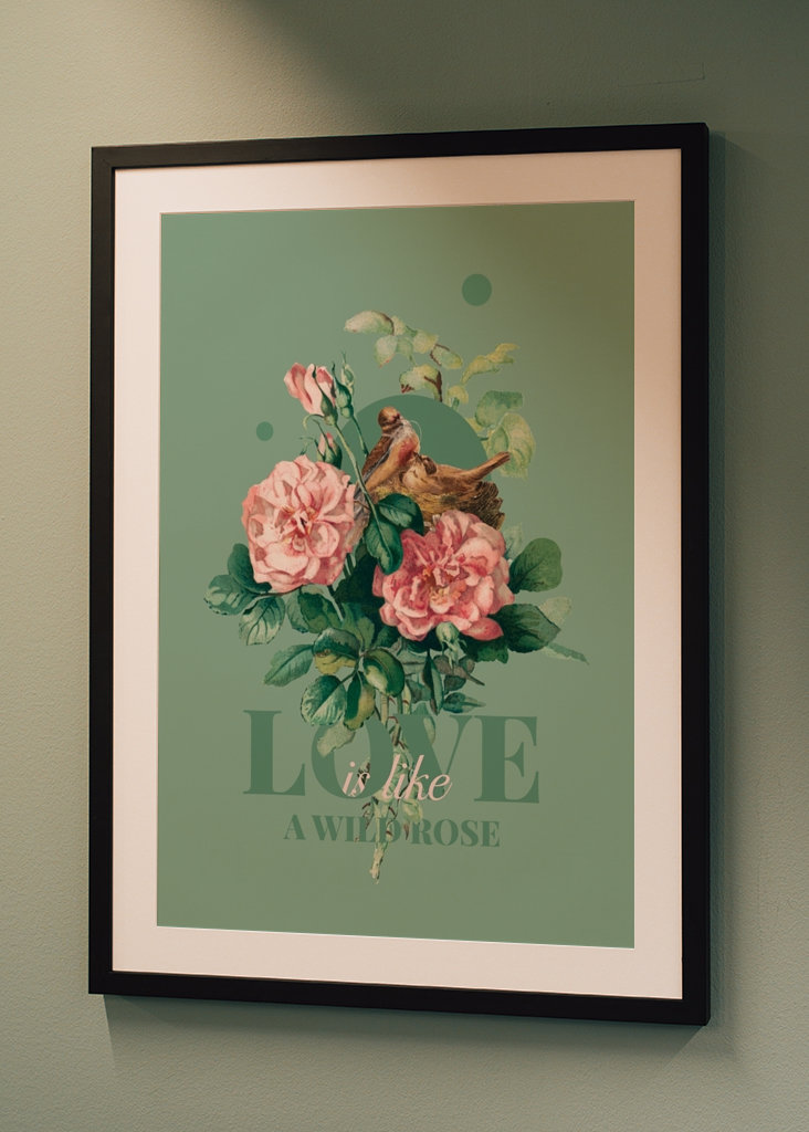 Love is like a wild rose