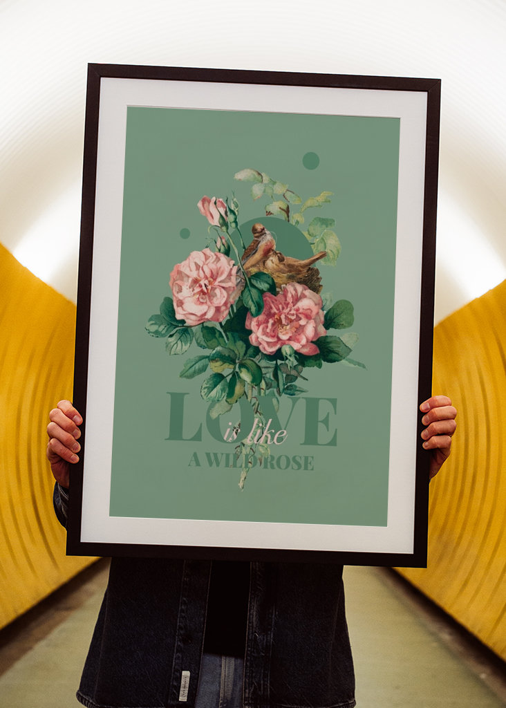 Love is like a wild rose