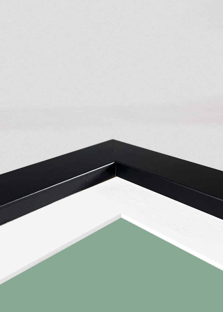 Love is like a wild rose