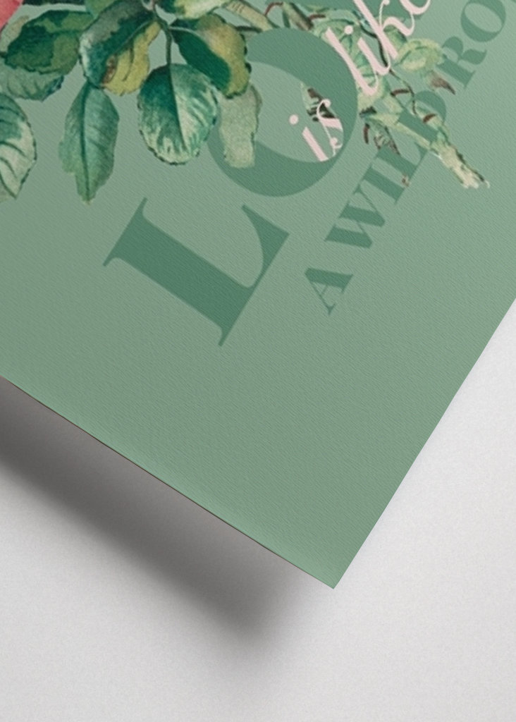 Love is like a wild rose