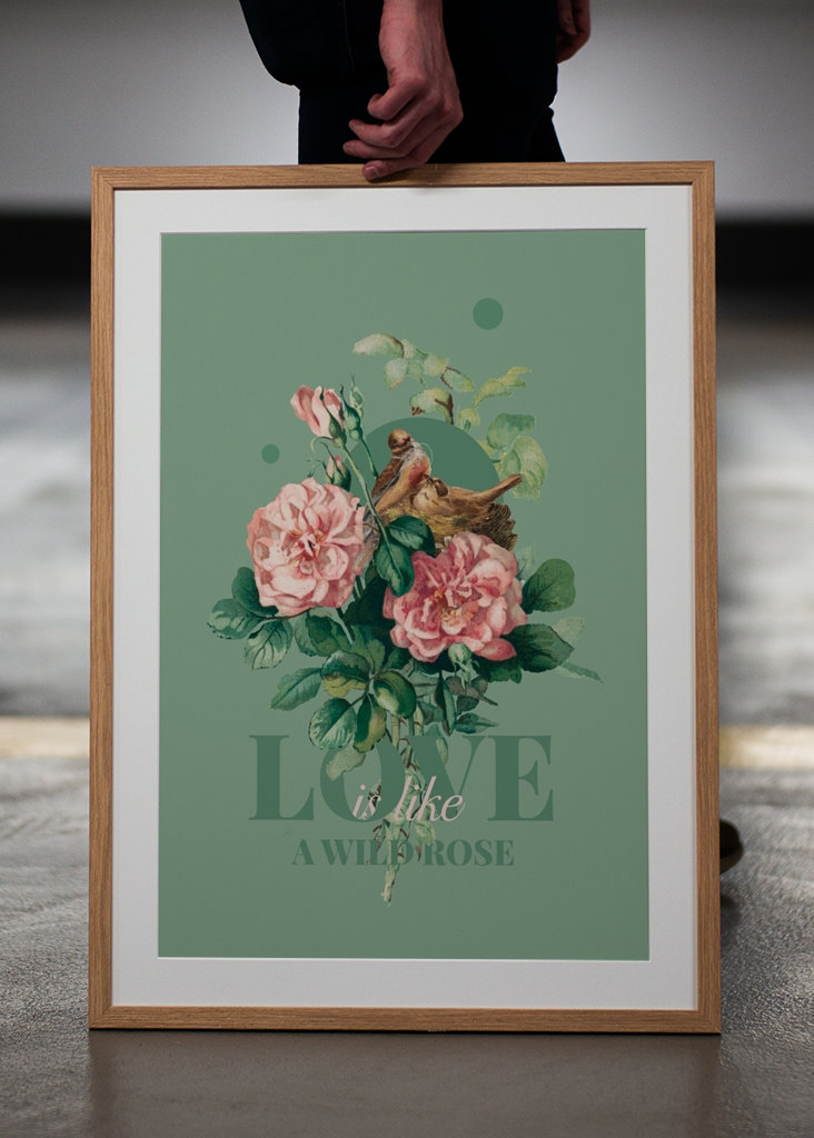 Love is like a wild rose