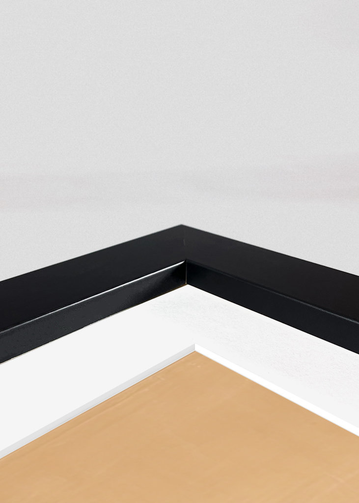 Bauhaus-Sinfonie: Dresden