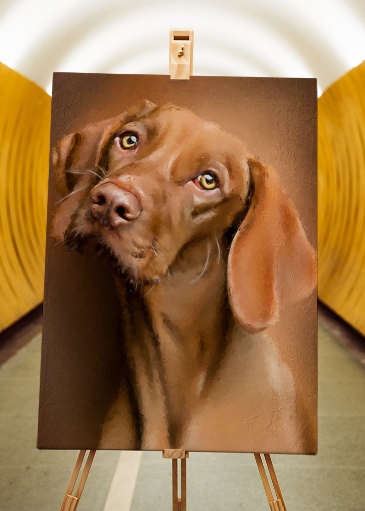 Cane marrone dipinto