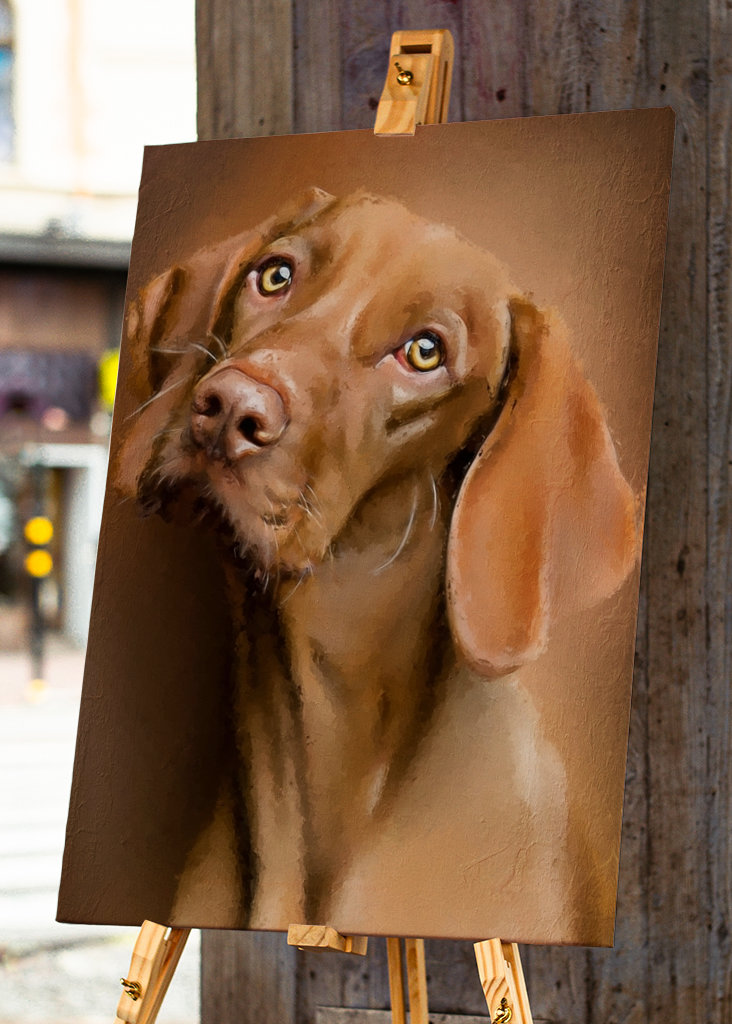 Cane marrone dipinto