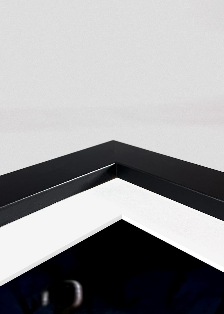 Tekken 8 Fighting Game