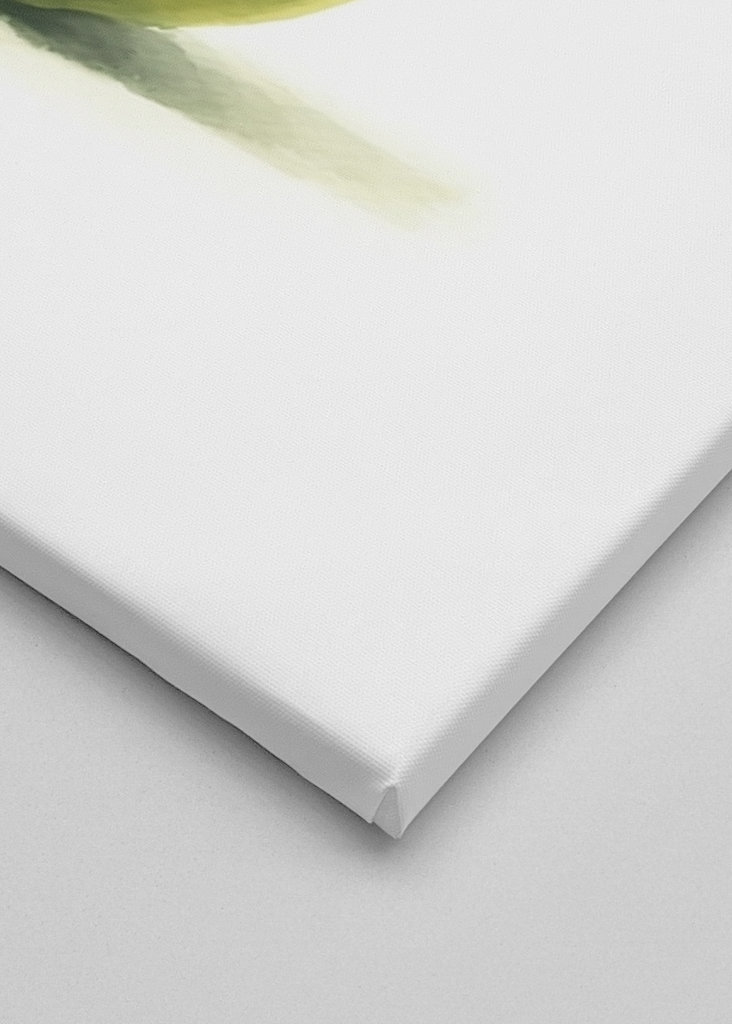 Limone - italský citron  