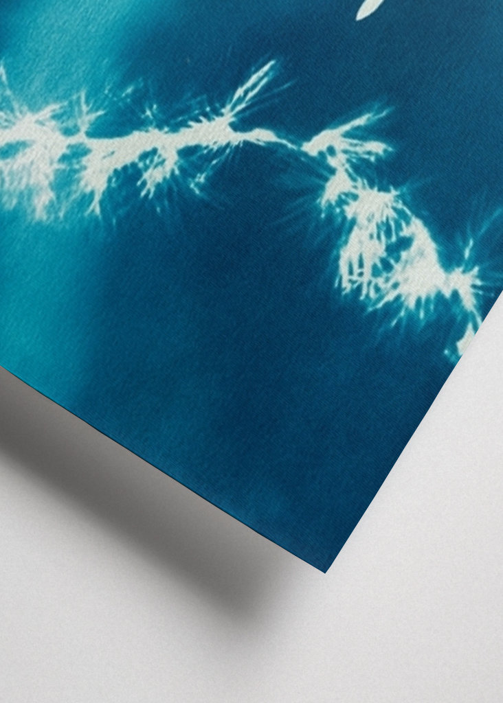 Zimní nohy tučňáka