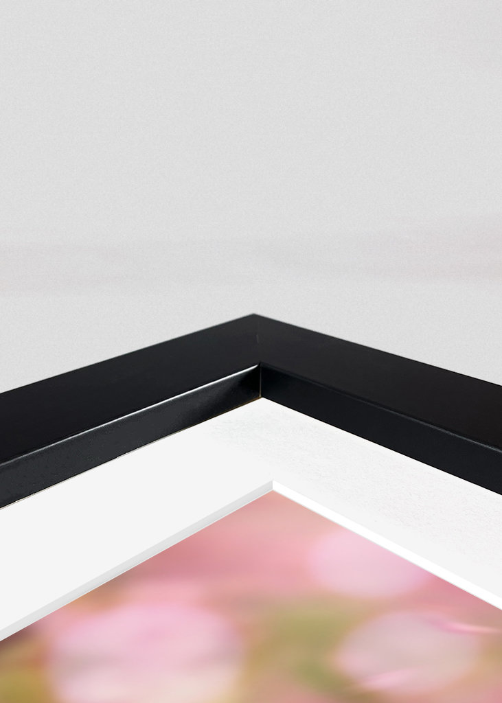 Cherry blossom and butterfly