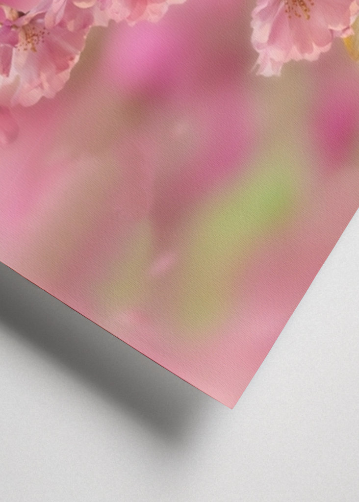 Cherry blossom and butterfly