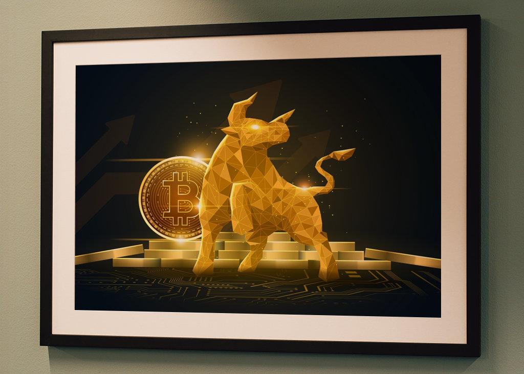 Bull Bitcoin kryptovaluutta