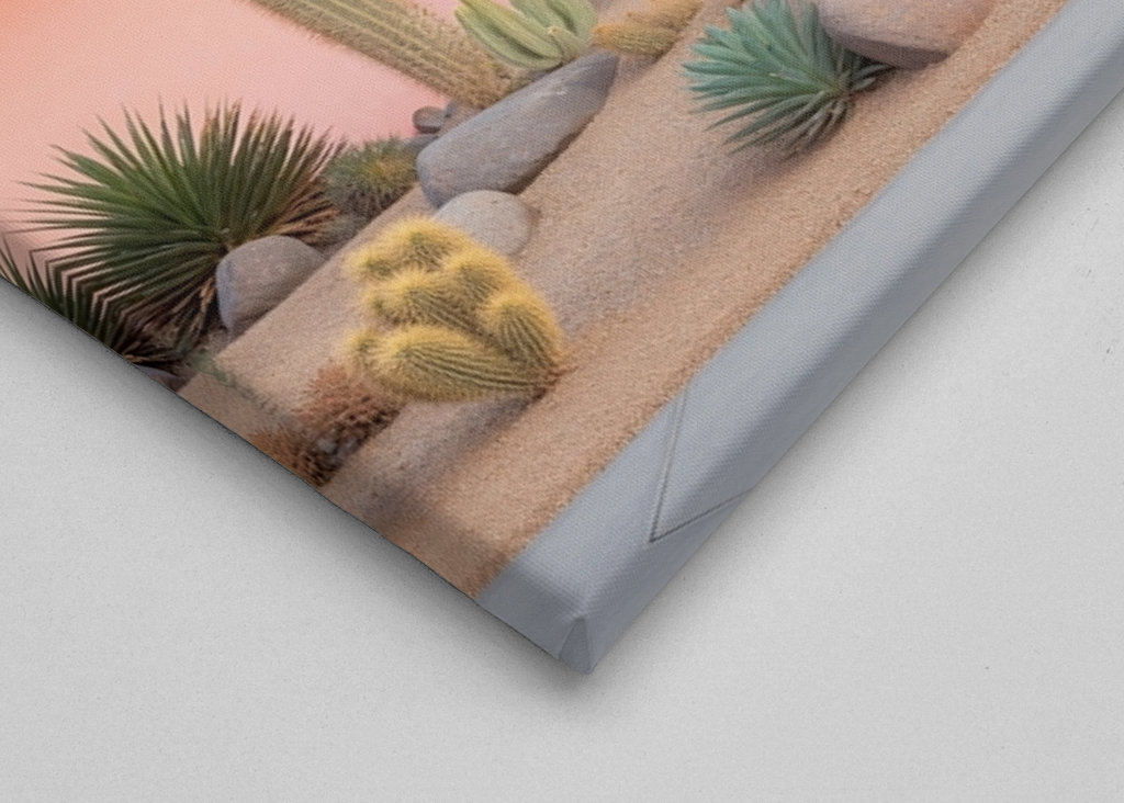 Palm Springs Stemninger fra midten af århundredet