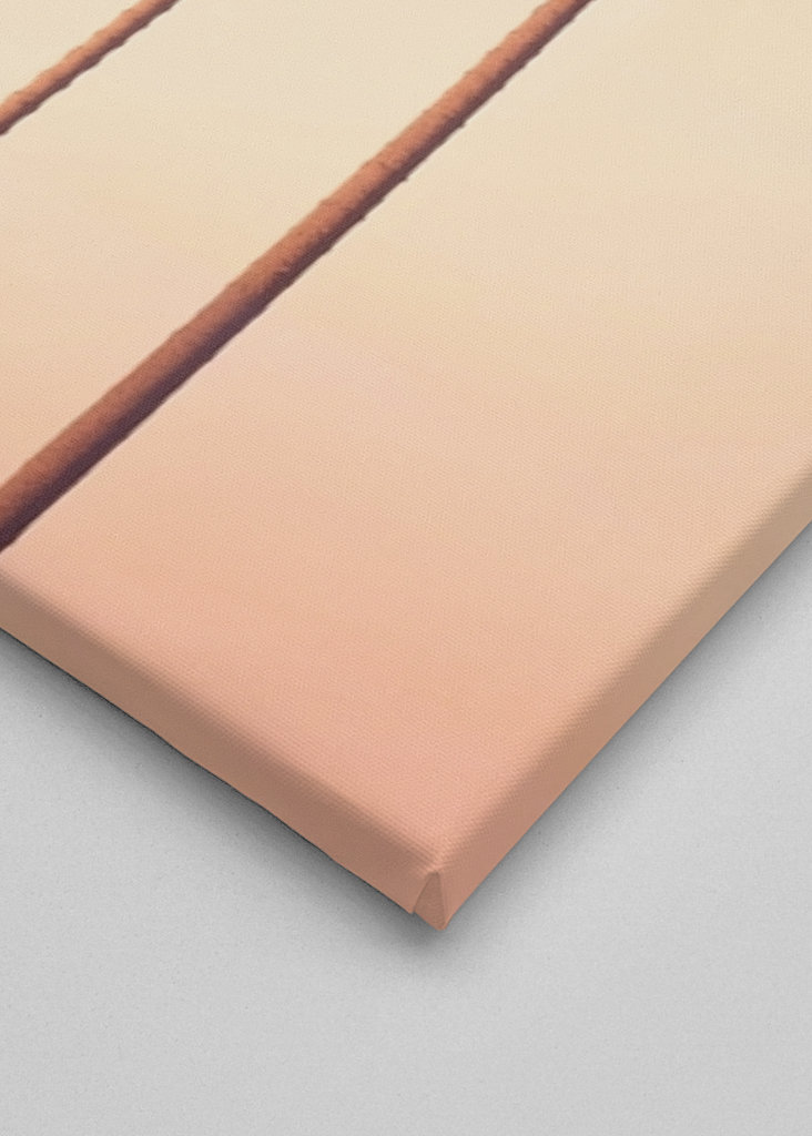 Los Angeles Palms Paradise