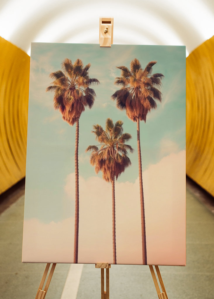 Los Angeles Palms Paradise