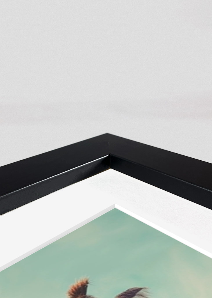 Los Angeles Palms Paradise