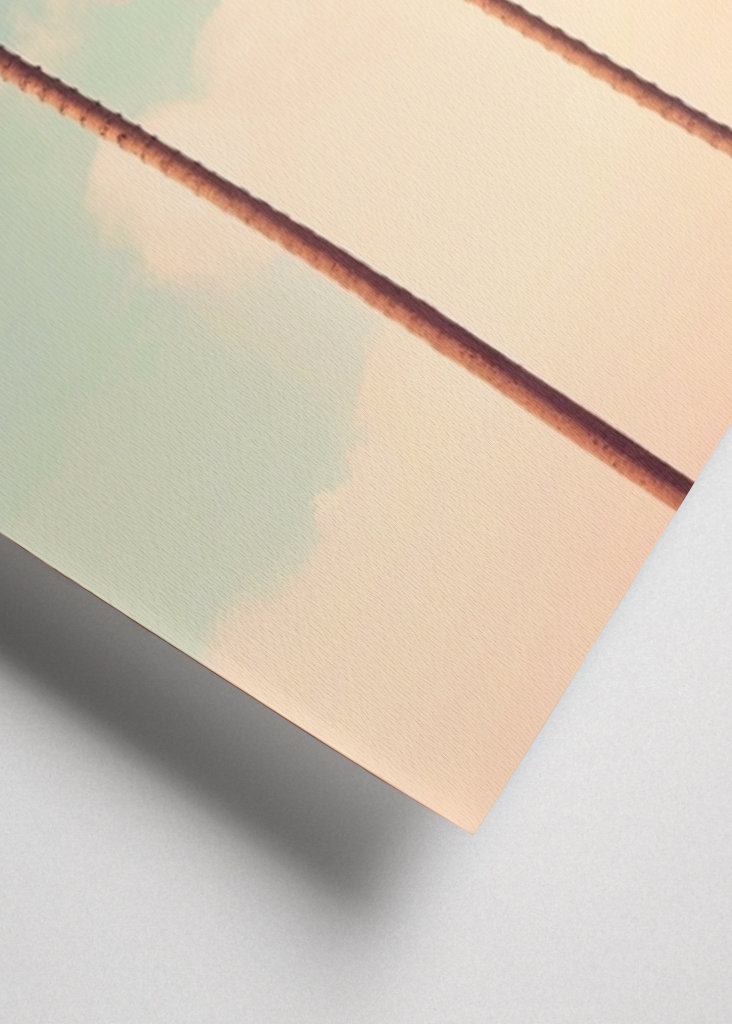 Los Angeles Palms Paradise