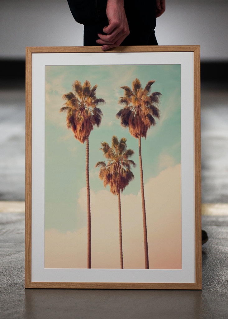 Los Angeles Palms Paradise