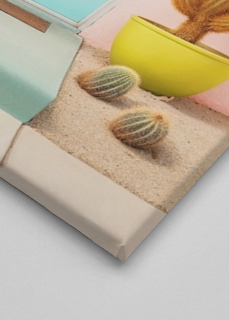 Smukke pastelpalme fjedre