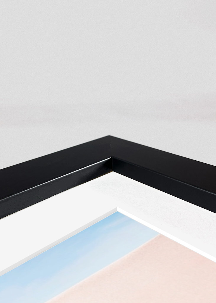 Smukke pastelpalme fjedre