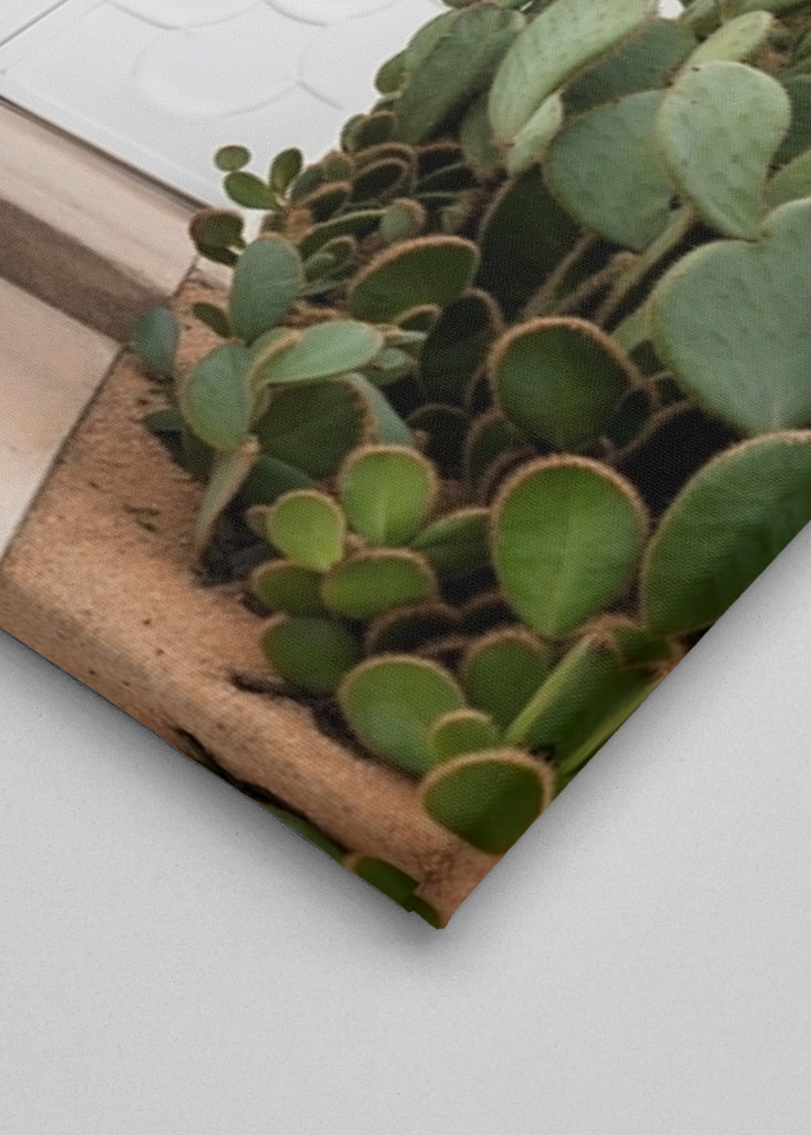 Hvidhed Palm Springs Dør