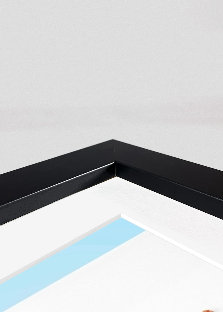 Hvidhed Palm Springs Dør