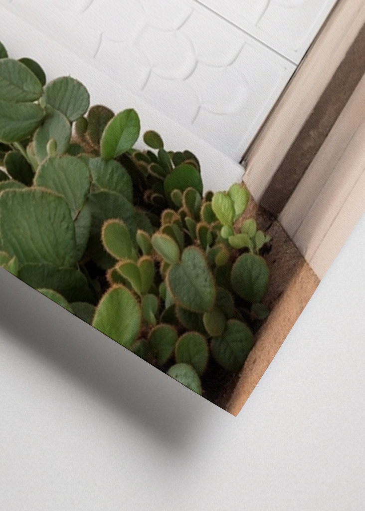 Hvidhed Palm Springs Dør