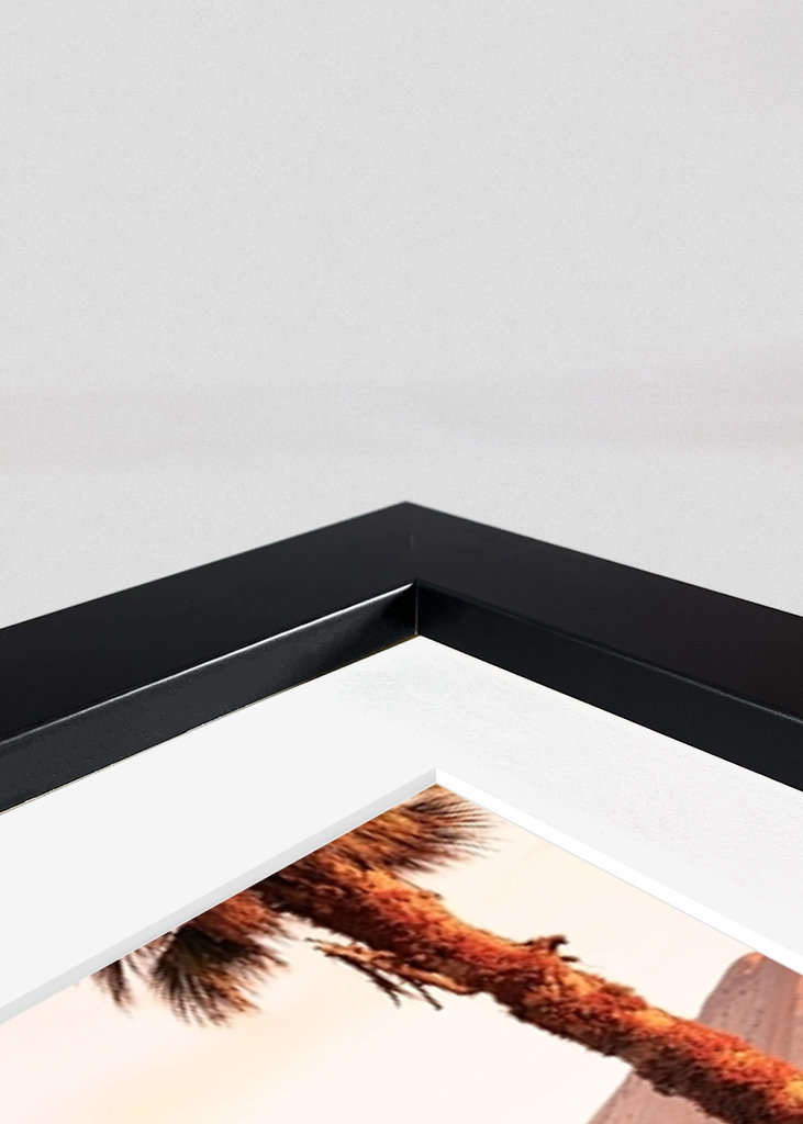 Palm Springs Mid Century House