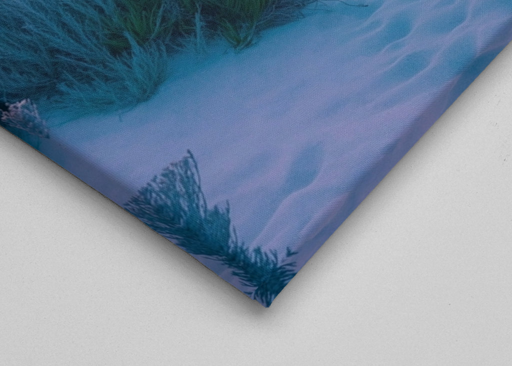 Sentiero di sabbia al tramonto